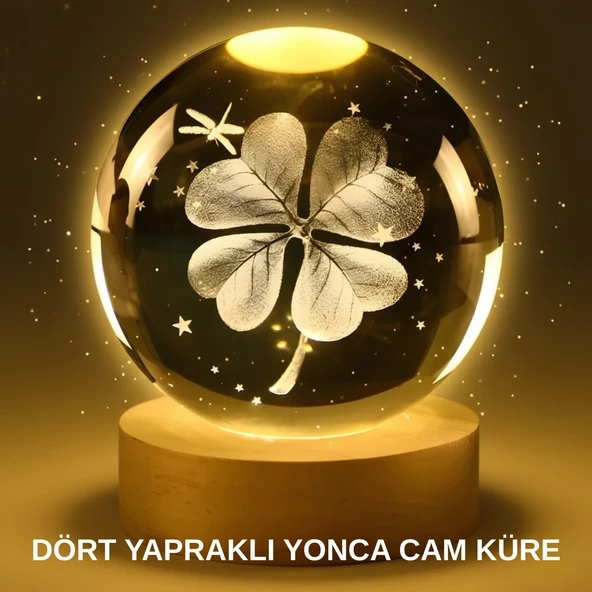 Y